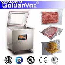 Empacadora de vacío para alimentos DZ-500/2G