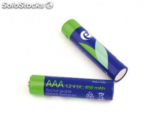 EnerGenie Ni-mh wiederaufladbare AAA Batterien, 850 mAh, 2 St. Eg-ba-AAA8R4