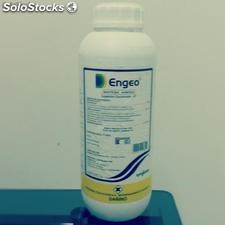 Engeo