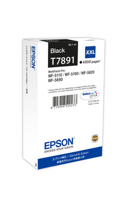 Epson XXL Black 4k ink cartridge C13T789140