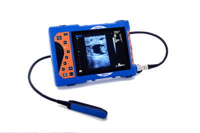 Equipo de diagnóstico de embarazo veterinario portátil B/W máquina de ultrasonid - Foto 2