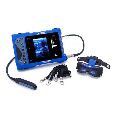 Escáner de ultrasonido veterinario portátil BXL-V60 con gafas de video HD OLED