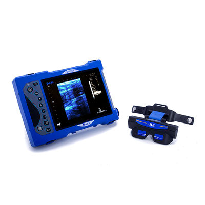 Escáner de ultrasonido veterinario portátil BXL-V60 con gafas de video HD OLED - Foto 5