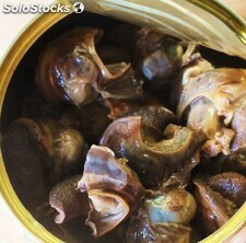 Escargots en conserve