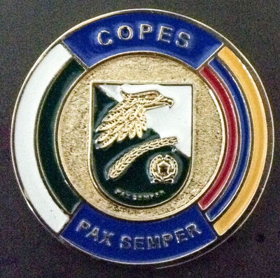 Escudo de solapa, pin , placa referencia - Foto 3