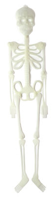 Esqueleto plastico , 12