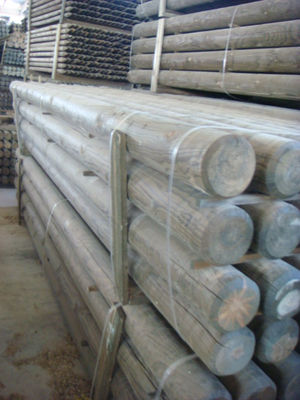 Estacas de madera tratada - Foto 2