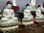 Estatuas Buda tallado de jade Birmania diseño personalizado - Buda Sambo - 1