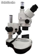 Estereo microscopio