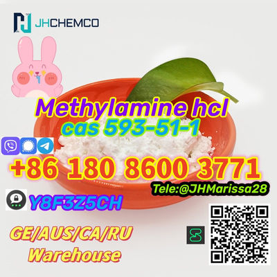 EU Warehouse CAS 593-51-1 Methylamine hydrochloride Threema: Y8F3Z5CH - Photo 2