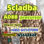Europe stock ADBB adb-butinaca Cas 2682867-55-4 5cladba for sale - Photo 2