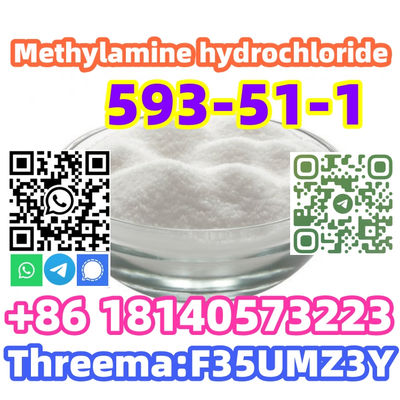 Europe warehouse CAS 593-51-1 Methylamine hydrochloride with low price - Photo 3