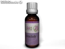 Extracto de Alcachofa 30 ml &quot;Cynara scolymus&quot;