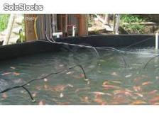 Fabulosos estanques de geomembrana para cria de trucha o tilapia mojarra - Foto 2