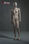 Faceless female mannequin New tan - Foto 4