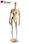 Faceless female mannequin with articulable arms - Foto 4