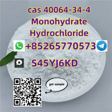 Factory Rich Stock CAS 40064-34-7 Monohydrate Hydrochloride +85265770573