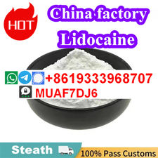 Factory supply High quality Lidocaine CAS137-58-6 for sale