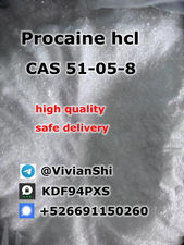 Factory Supply High Quality Procaine Hydrochloride / Procaine HCl CAS 51-05-8