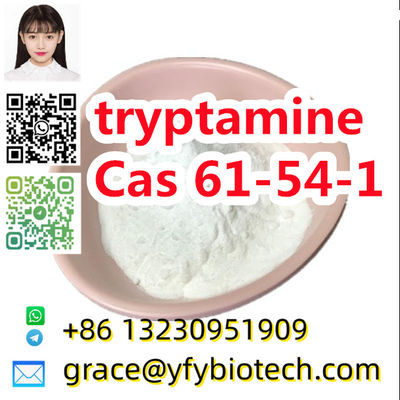 Factory supply High quality raw material 99% tryptamine cas 61-54-1 C10H12N2 - Photo 2
