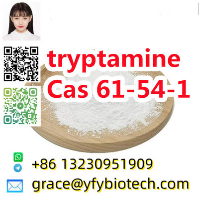 Factory supply High quality raw material 99% tryptamine cas 61-54-1 C10H12N2 - Photo 3