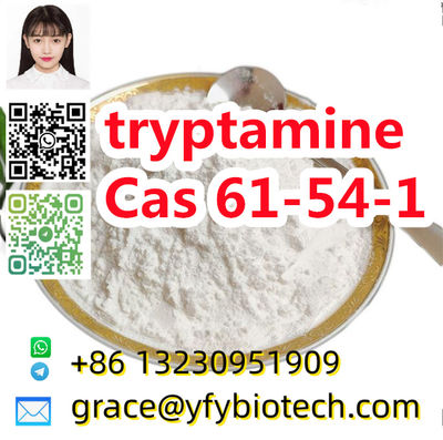 Factory supply High quality raw material 99% tryptamine cas 61-54-1 C10H12N2 - Photo 4