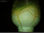 Farba kryjąca ekri, kremowa farba do skorupy jaja - Zdjęcie 4