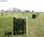 Fardos de alfalfa - Para alimento del ganado - Optima Calidad y Precio - Foto 2