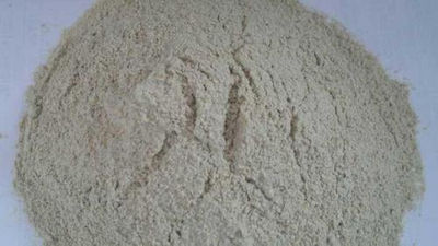 Farina di Guar, 40% proteine , origine India