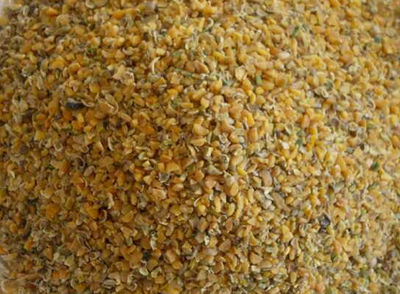 Farina di Guar, 50% proteine , origine India
