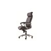 fauteuil president