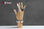 Female wooden hand articulable 25 CM - Foto 2