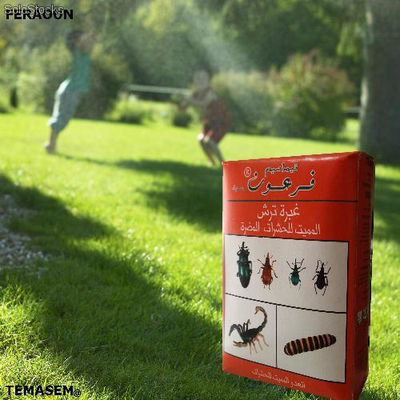 Feraoun ( poudrage) - insecticide