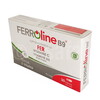 Ferroline B9 fer vitamine c 30 gélules