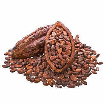 fèves de cacao séchées au soleil - Photo 3