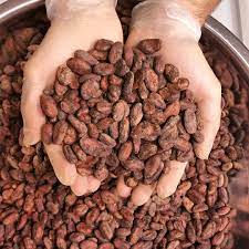 fèves de cacao séchées au soleil - Photo 5