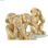 Figurka Dekoracyjna DKD Home Decor Biały Złoty Tropikalny Małpy 10,5 x 10,5 x 18 - 3