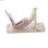 Figurka Dekoracyjna DKD Home Decor Różowy Yoga Scandi 16 x 6 x 13 cm - 3