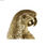 Figurka Dekoracyjna DKD Home Decor Złoty Żywica Papuga Tropikalny (21 x 18 x 79 - 2