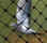 Filet anti-pigeons resistant pour tous problèmes d&amp;#39;oiseaux - Photo 2