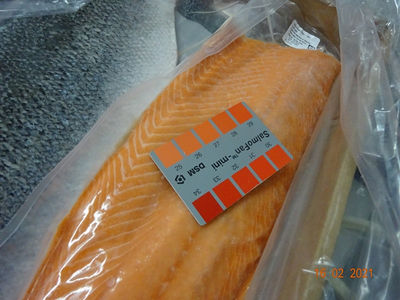 Filetes de Salmon Con Piel , sellados al vacio en Cajas de 15 kg y 25 kg - Foto 4