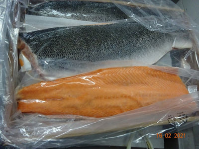 Filetes de Salmon Con Piel , sellados al vacio en Cajas de 15 kg y 25 kg - Foto 5