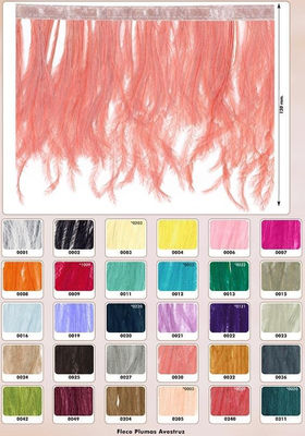 Avestruz Plumas | Avestruz Drab Wholesale plumas (Bulk) – 1/2 Lb, color  rosa 9 – 13