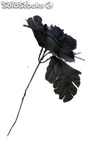 Flor negra