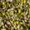 Flores secas de camomila - 3
