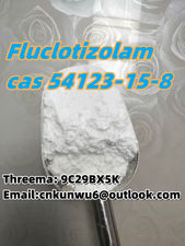 Fluclotizolam cas 54123-15-8