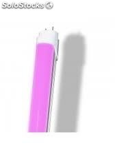 Fluorescente-tubo led &quot;pink&quot; (rosa) 18W.
