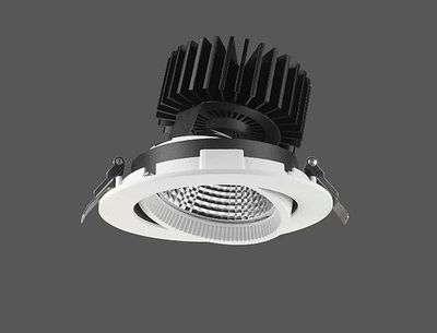 Foco LED downlight empotrable ajustable RA-4020 28w/35w