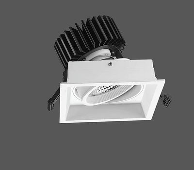 Foco LED downlight empotrable ajustable RA-5006 8w/14w