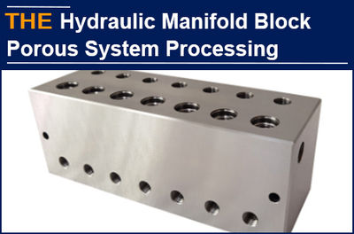 For the Hydraulic Manifold Block with porous system like cranial nerve, after AA